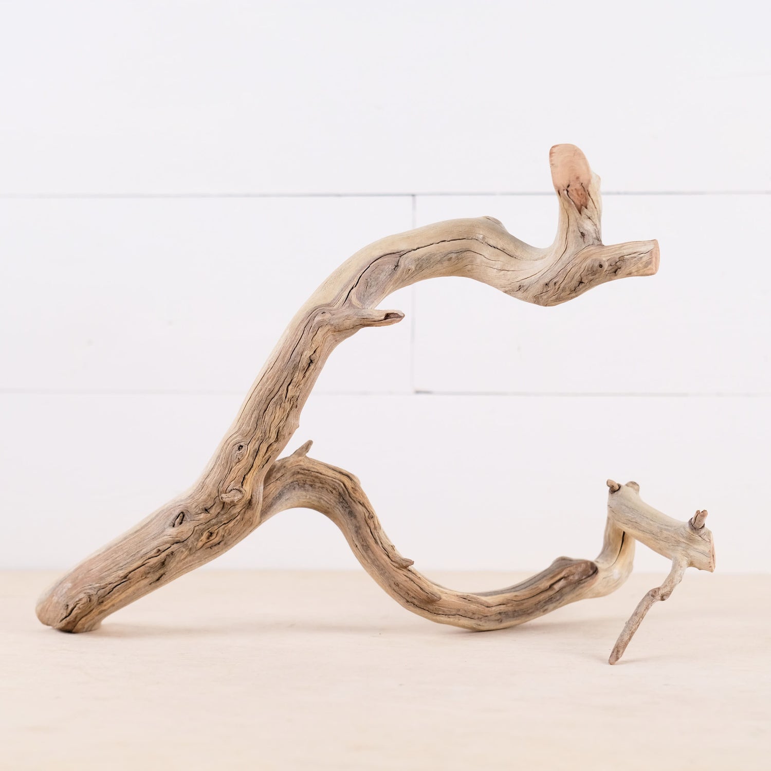 Manzanita 15" Driftwood Branch, Natural Aquarium Wood, Aquascape Feature, Fish Tank Decor, Terrarium Wood