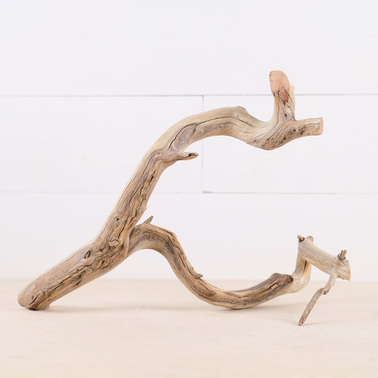 Manzanita 15" Driftwood Branch, Natural Aquarium Wood, Aquascape Feature, Fish Tank Decor, Terrarium Wood