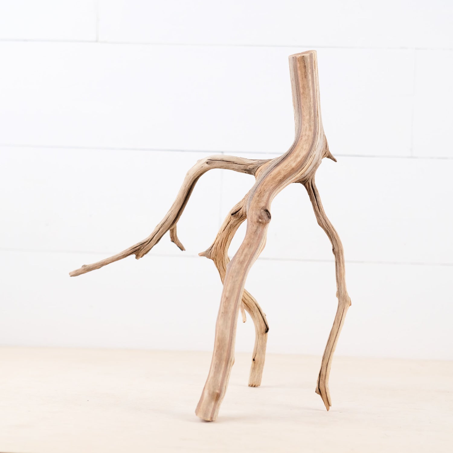 Manzanita 15" Branch, Aquascape Driftwood, Aquarium Wood, Natural Fish Tank Decor, Small Reptile Vivarium Branch