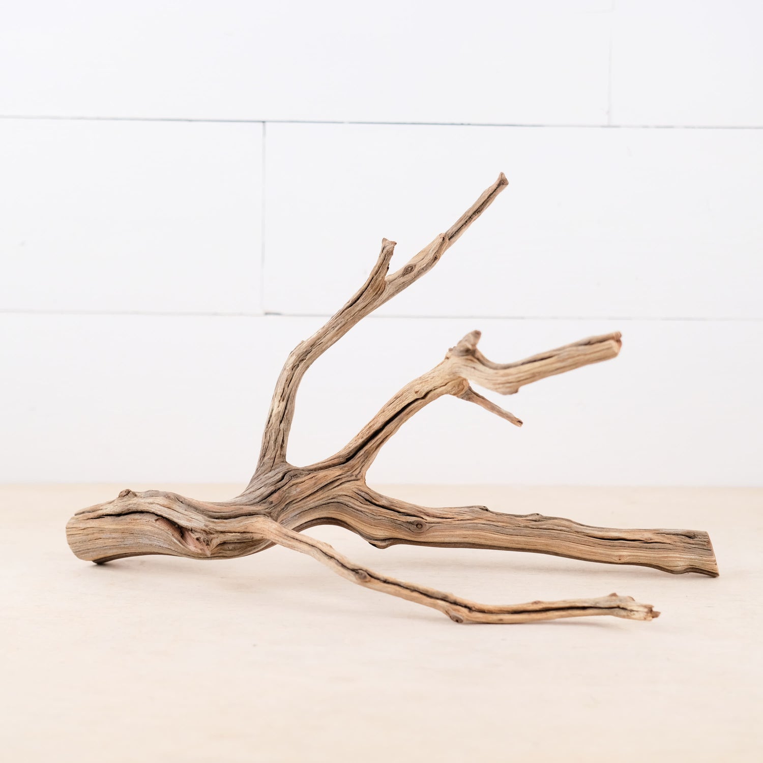 Manzanita 15" Branch, Aquascape Driftwood, Aquarium Wood, Natural Fish Tank Decor, Small Reptile Vivarium Branch