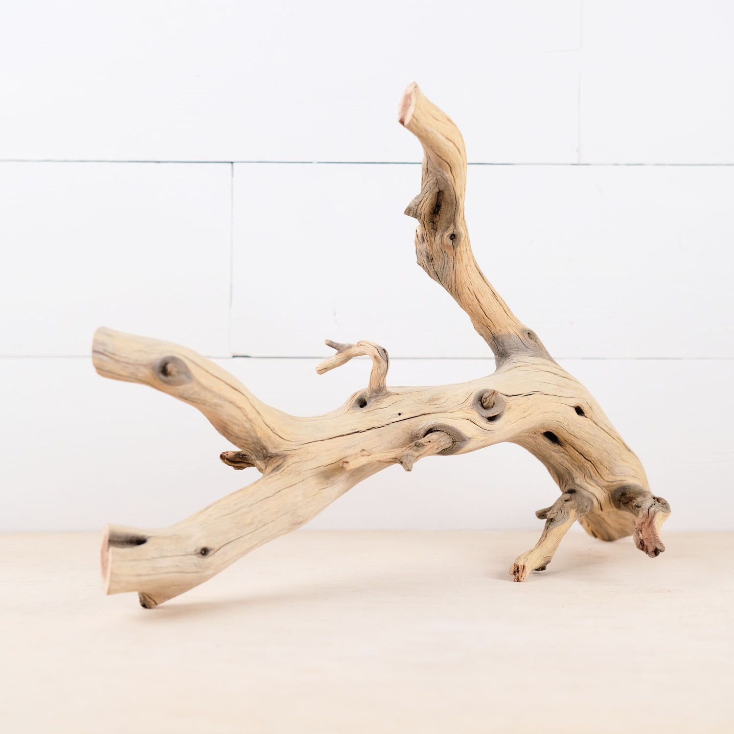 Manzanita 19" Driftwood, Aquarium Branch, Aquascape Decor, Natural Fish Tank Decor, Reptile Terrarium Wood, Vivarium Perch