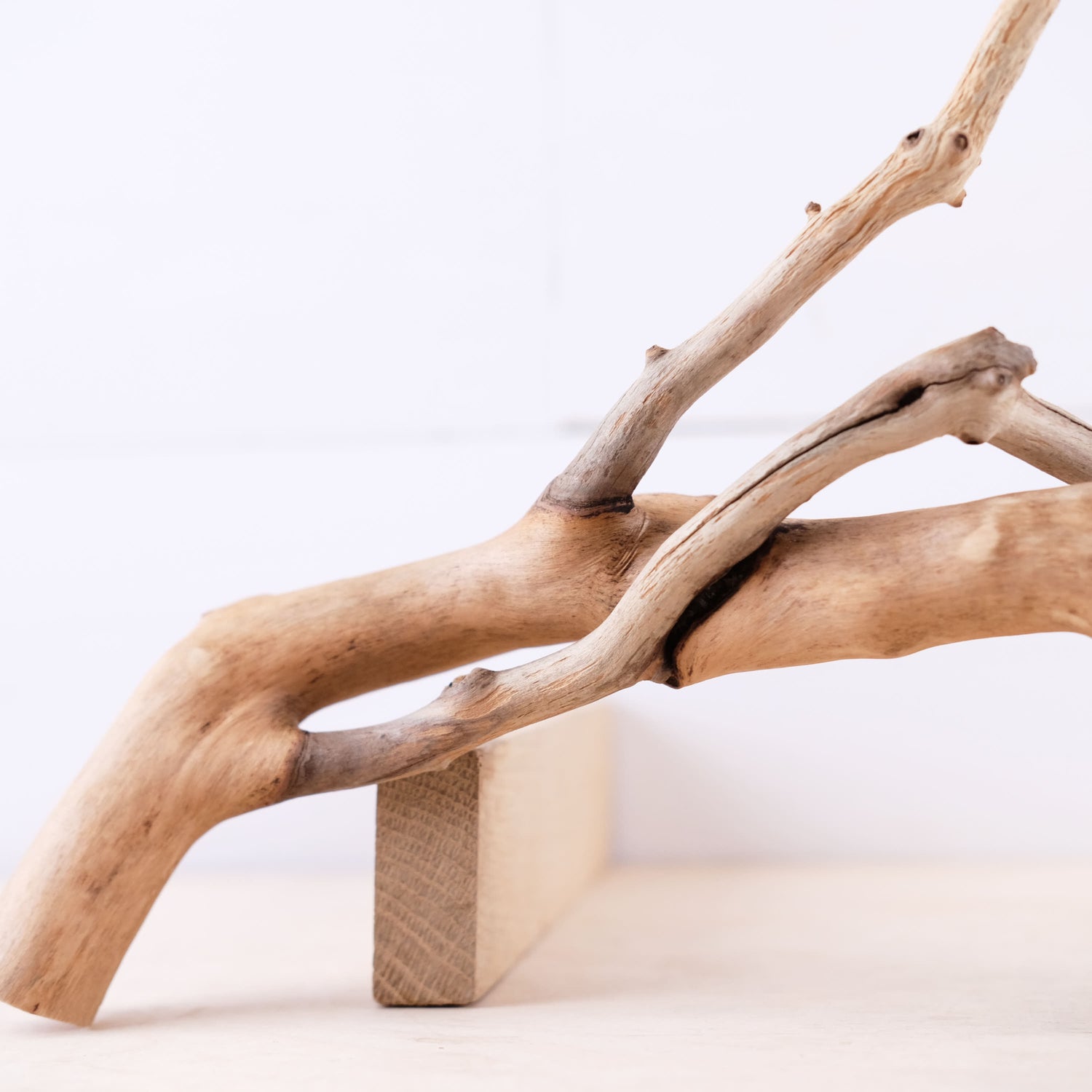 Manzanita 18" Driftwood Branch, Natural Aquarium Decor, Fish Tank Aquascape Wood, Frog Terrarium Climb
