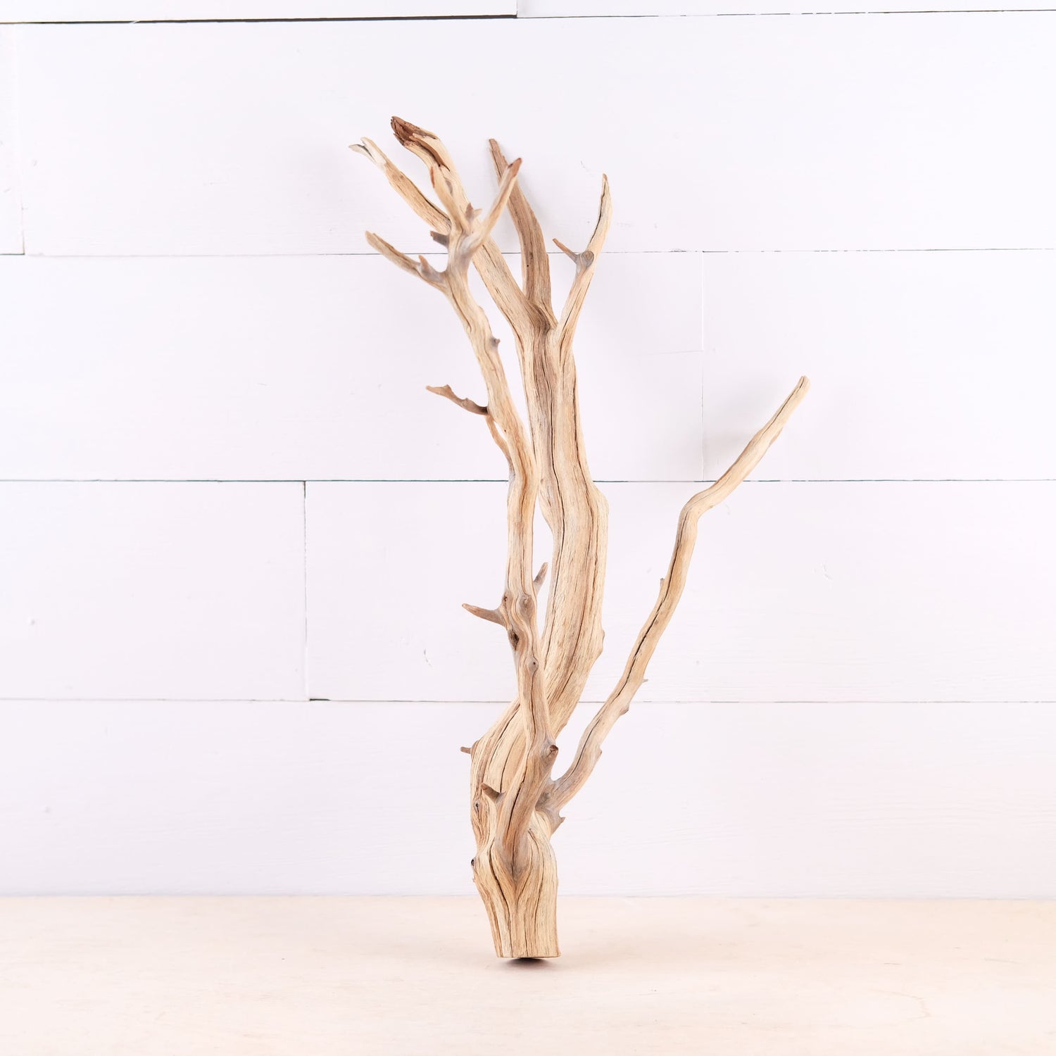 Manzanita 18" Driftwood Branch, Natural Aquarium Decor, Fish Tank Aquascape Wood, Terrarium Climb
