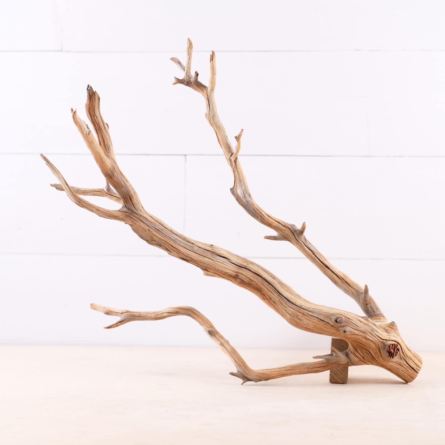 Manzanita 18" Driftwood Branch, Natural Aquarium Decor, Fish Tank Aquascape Wood, Terrarium Climb
