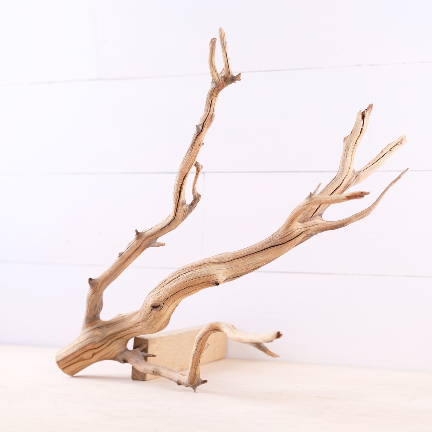 Manzanita 18" Driftwood Branch, Natural Aquarium Decor, Fish Tank Aquascape Wood, Terrarium Climb