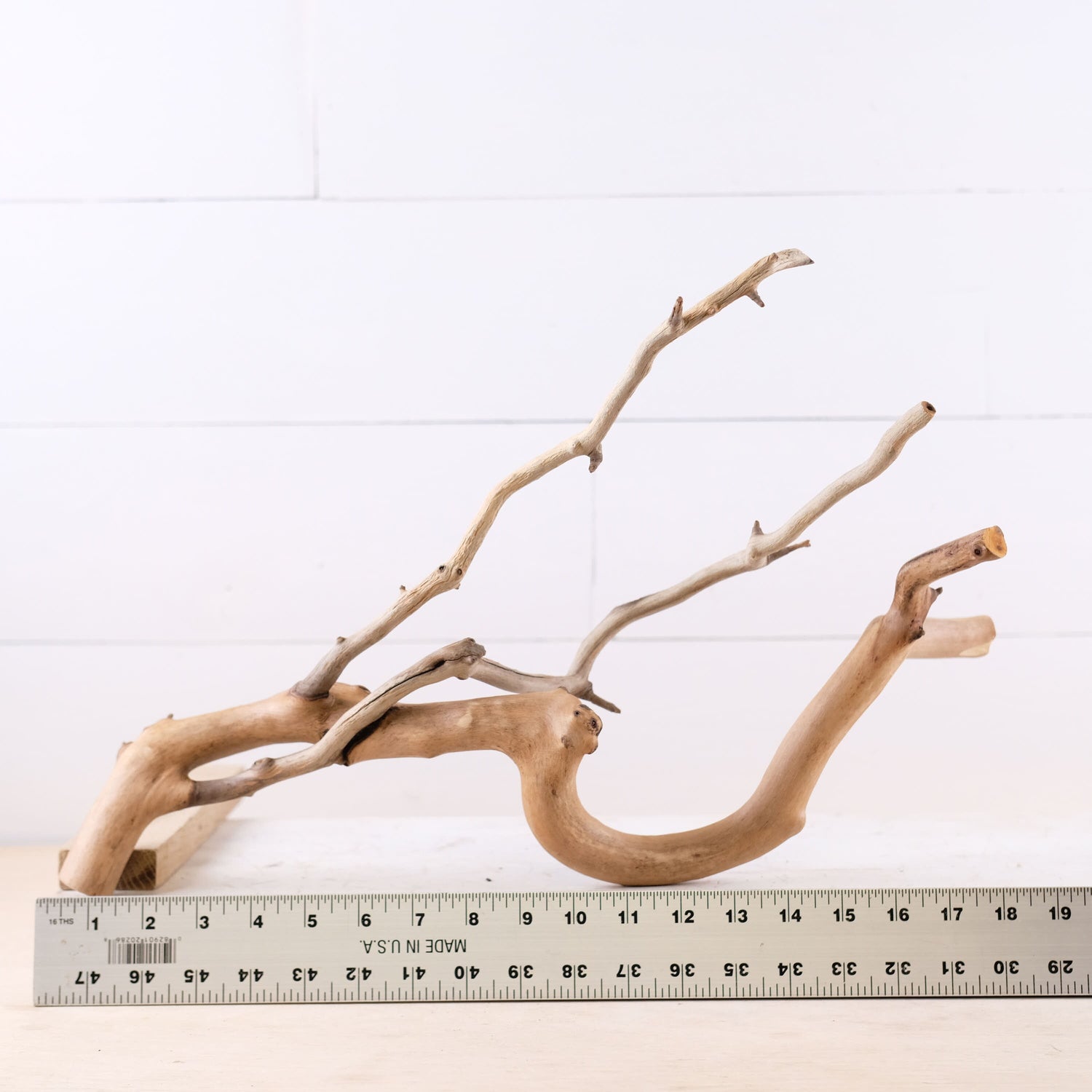 Manzanita 18" Driftwood Branch, Natural Aquarium Decor, Fish Tank Aquascape Wood, Frog Terrarium Climb