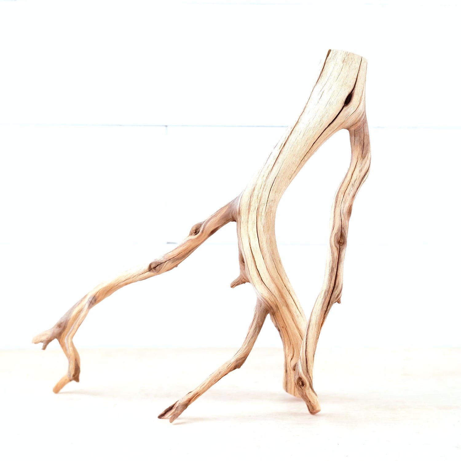 Manzanita 15" Driftwood, Aquarium Aquascape Branch, Natural Fish Tank Decor, Betta Branch, Terrarium Climb