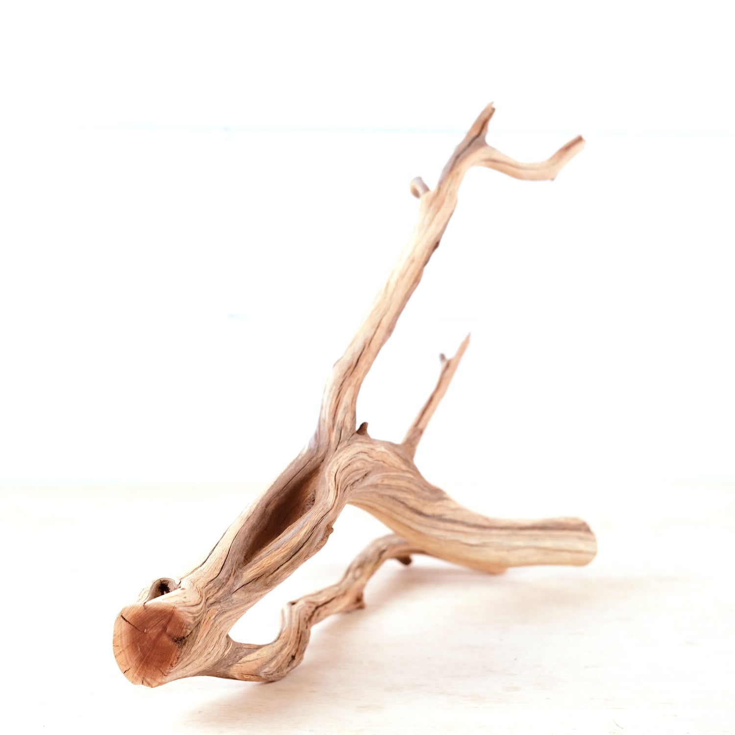 Manzanita 15" Driftwood, Aquarium Aquascape Branch, Natural Fish Tank Decor, Betta Branch, Terrarium Climb