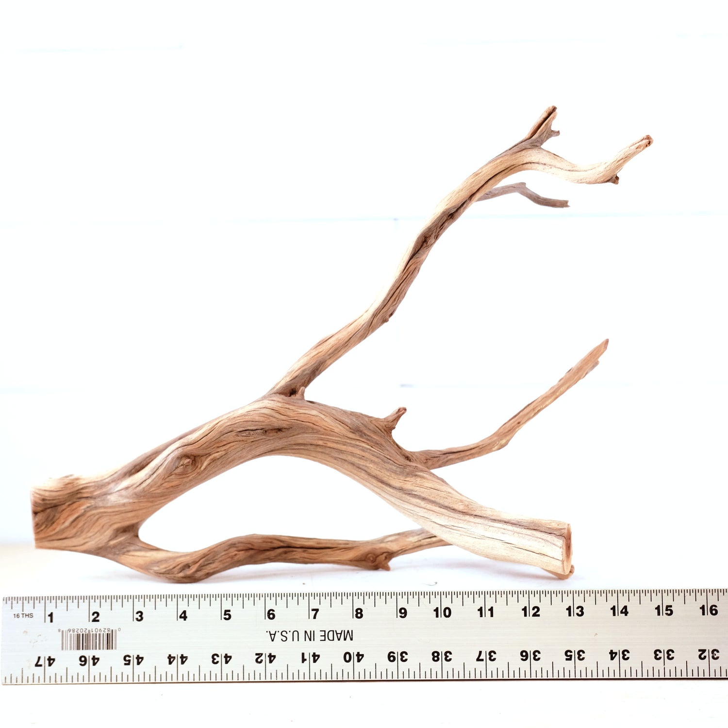 Manzanita 15" Driftwood, Aquarium Aquascape Branch, Natural Fish Tank Decor, Betta Branch, Terrarium Climb