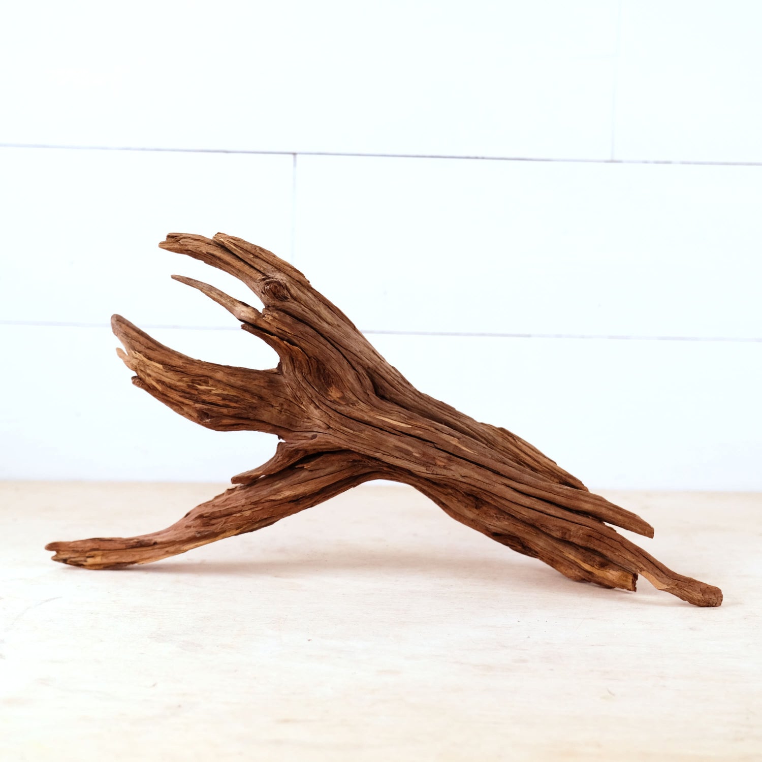 Manzanita 17" Driftwood, Aquarium Aquascape Decor, Natural Fish Tank Branch, Driftwood Shelf Decor, Terrarium Enrichment