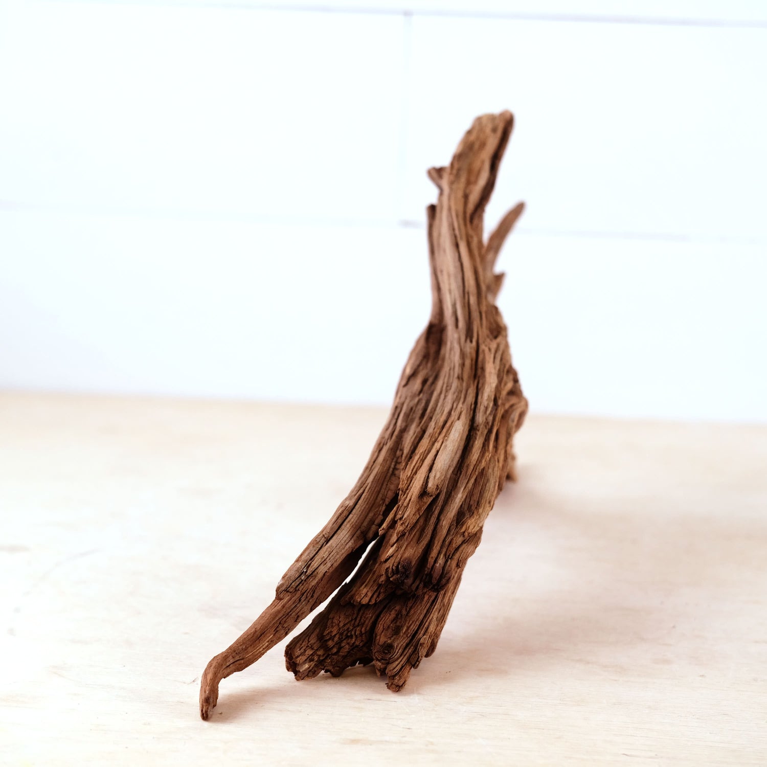 Manzanita 17" Driftwood, Aquarium Aquascape Decor, Natural Fish Tank Branch, Driftwood Shelf Decor, Terrarium Enrichment