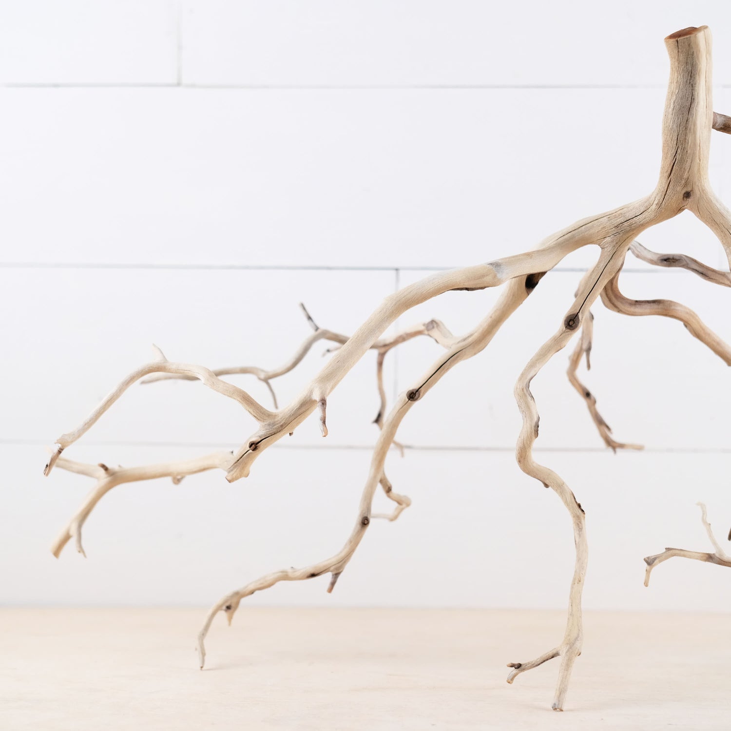 Manzanita 22" Branch, Aquascape Driftwood, Aquarium Wood Centerpiece, Natural Fish Tank Decor, Natural Decor Branch