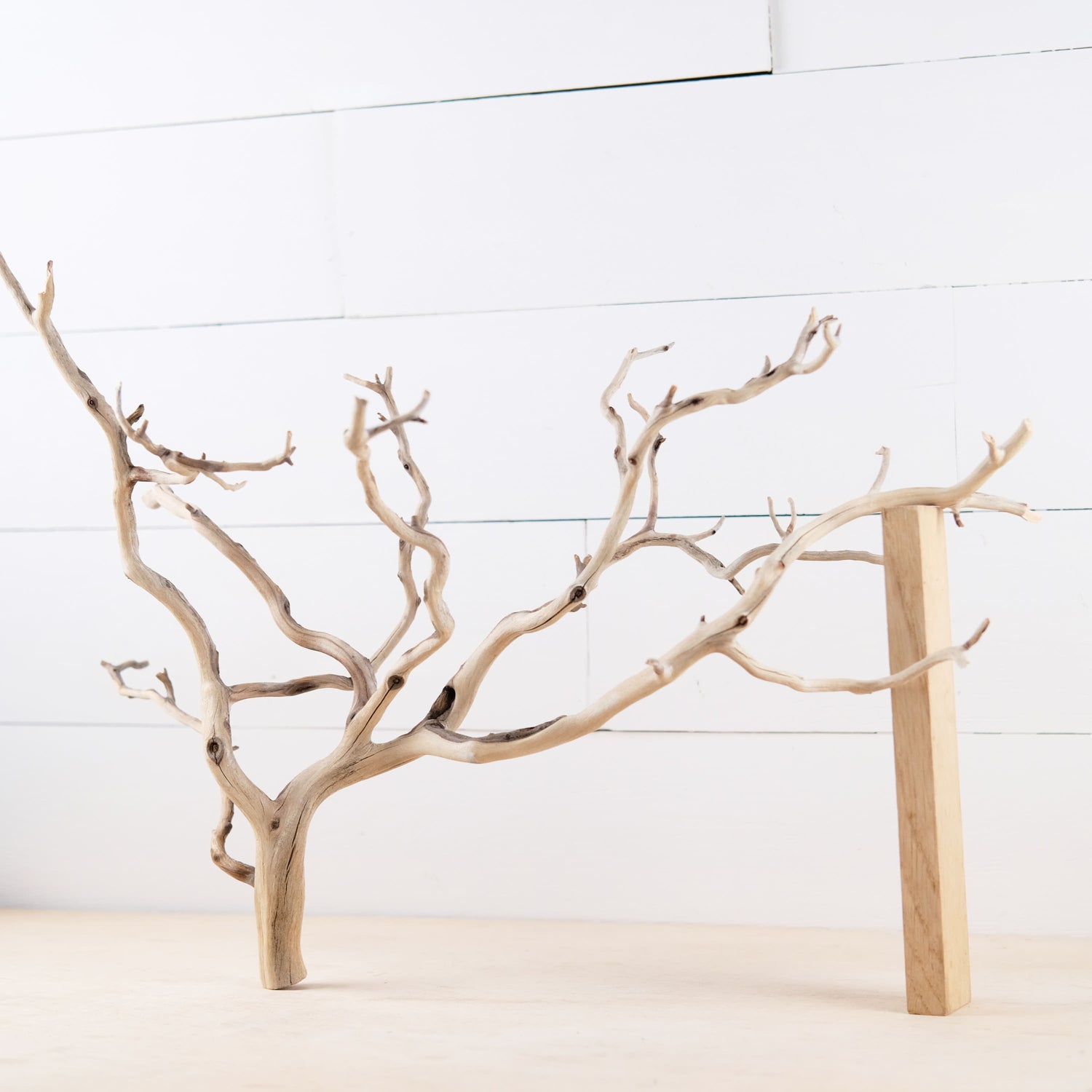 Manzanita 22" Branch, Aquascape Driftwood, Aquarium Wood Centerpiece, Natural Fish Tank Decor, Natural Decor Branch