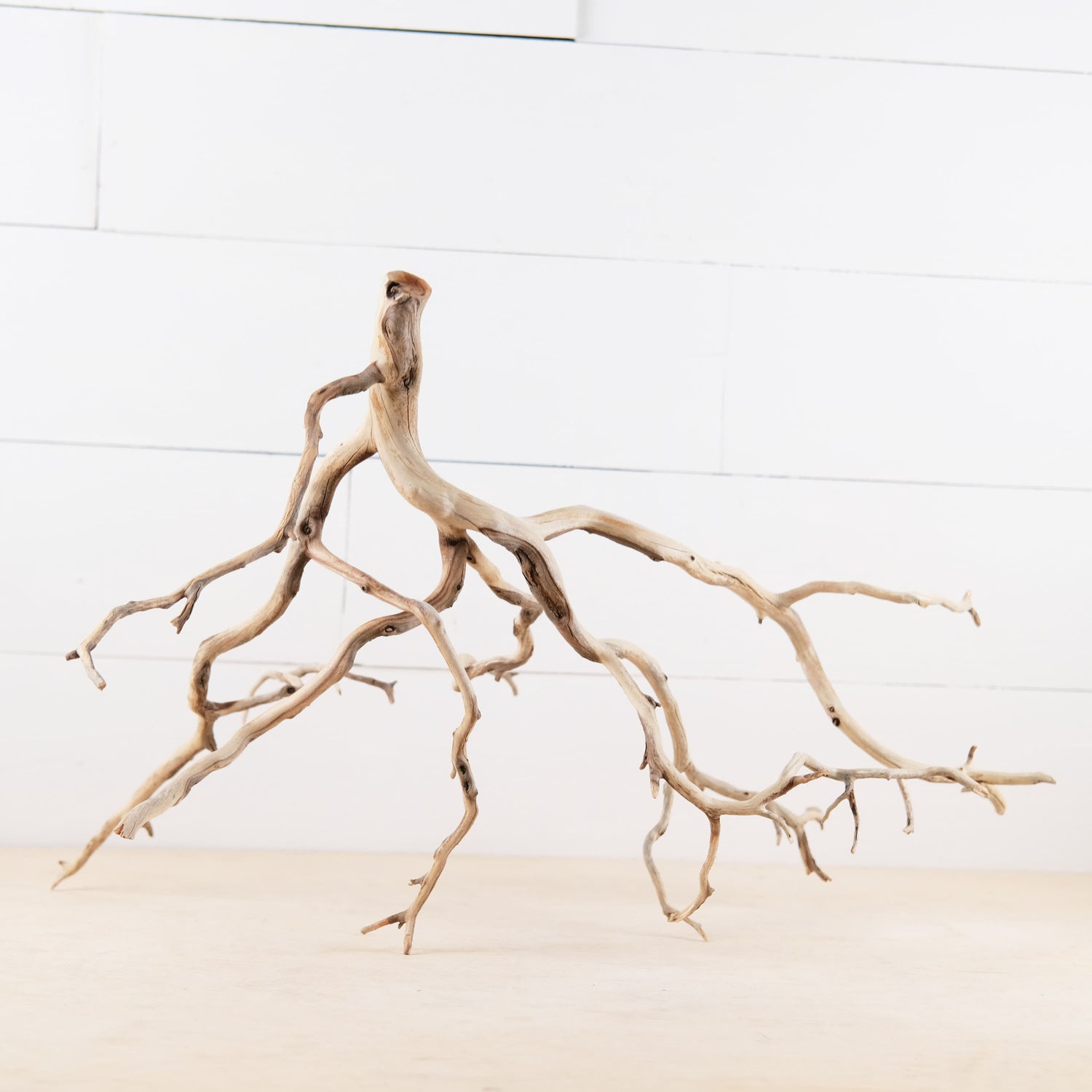 Manzanita 22" Branch, Aquascape Driftwood, Aquarium Wood Centerpiece, Natural Fish Tank Decor, Natural Decor Branch
