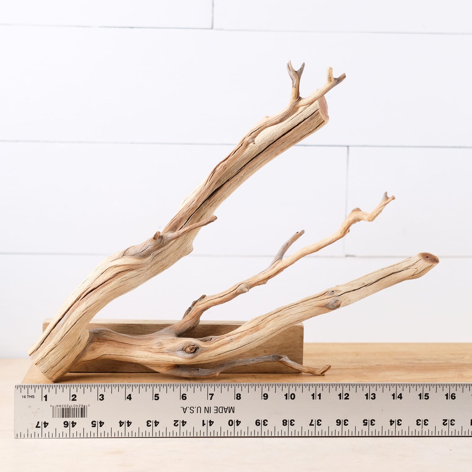 Manzanita 15" Branch, Aquascape Driftwood, Aquarium Wood Centerpiece, Natural Fish Tank Decor, Reptile Terrarium Climb