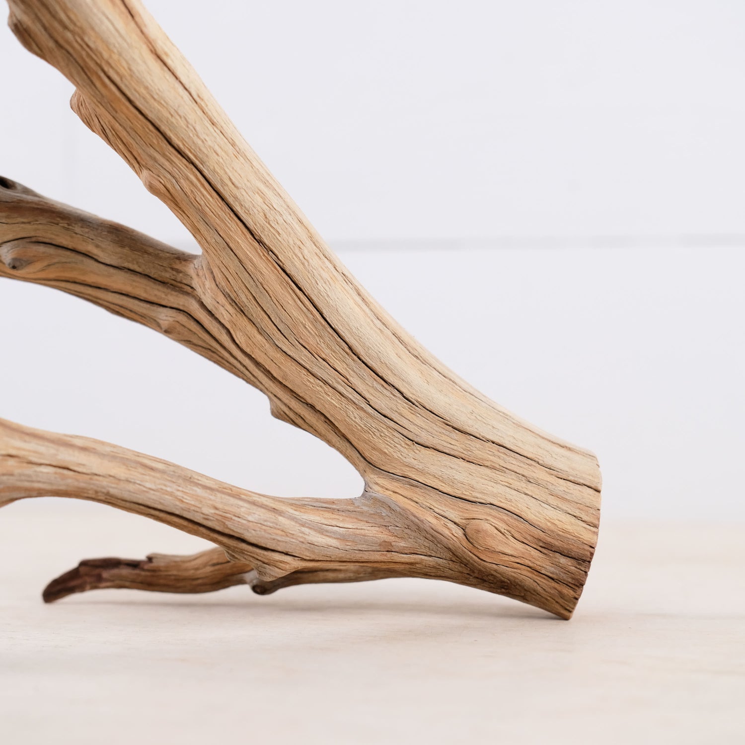 Manzanita 13" Branch, Aquascape Driftwood, Aquarium Wood Centerpiece, Natural Fish Tank Decor, Small Reptile Terrarium Climb