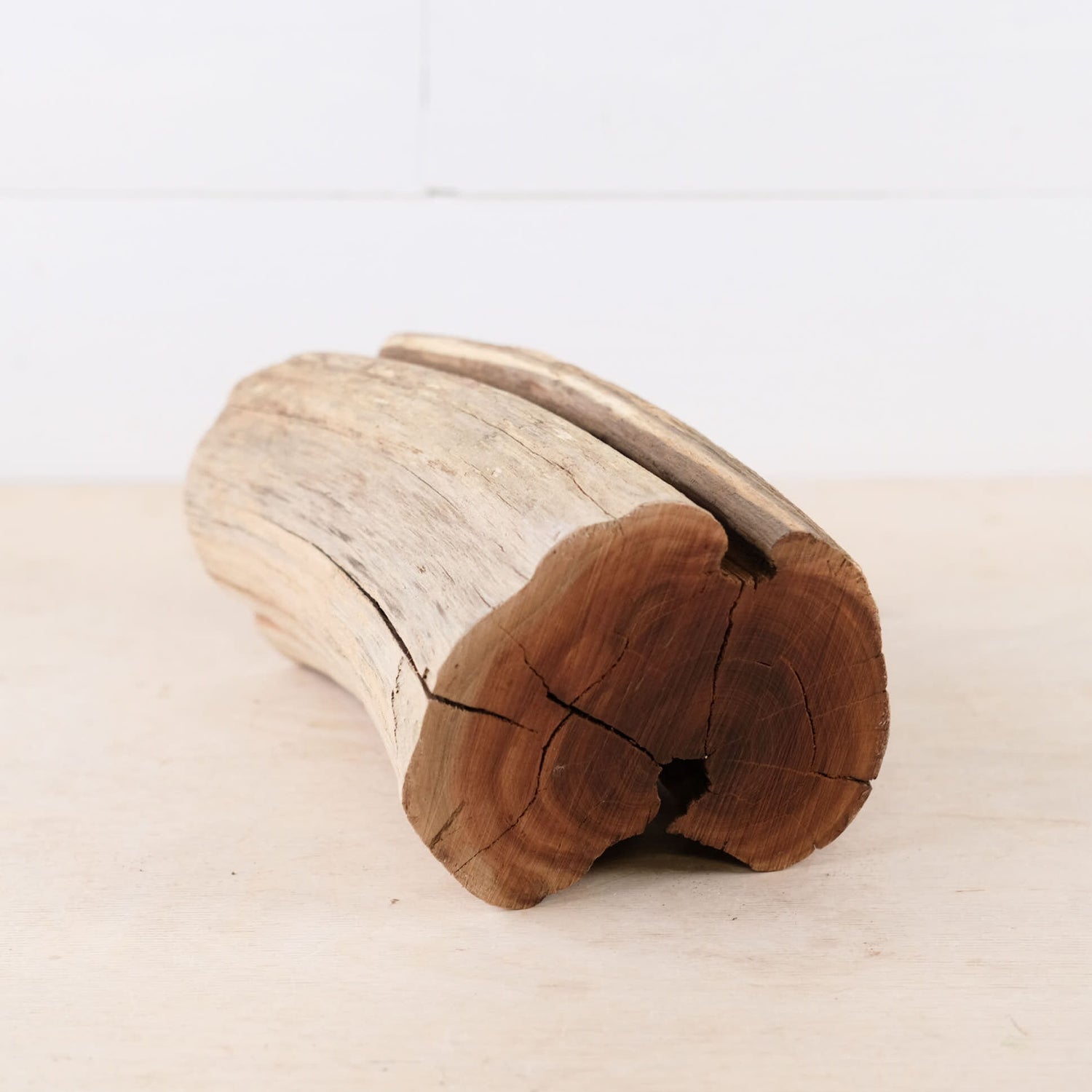 Manzanita 10" Driftwood Stump, Aquarium Aquascape Trunk, Reptile Vivarium Perch, Terrarium Climb