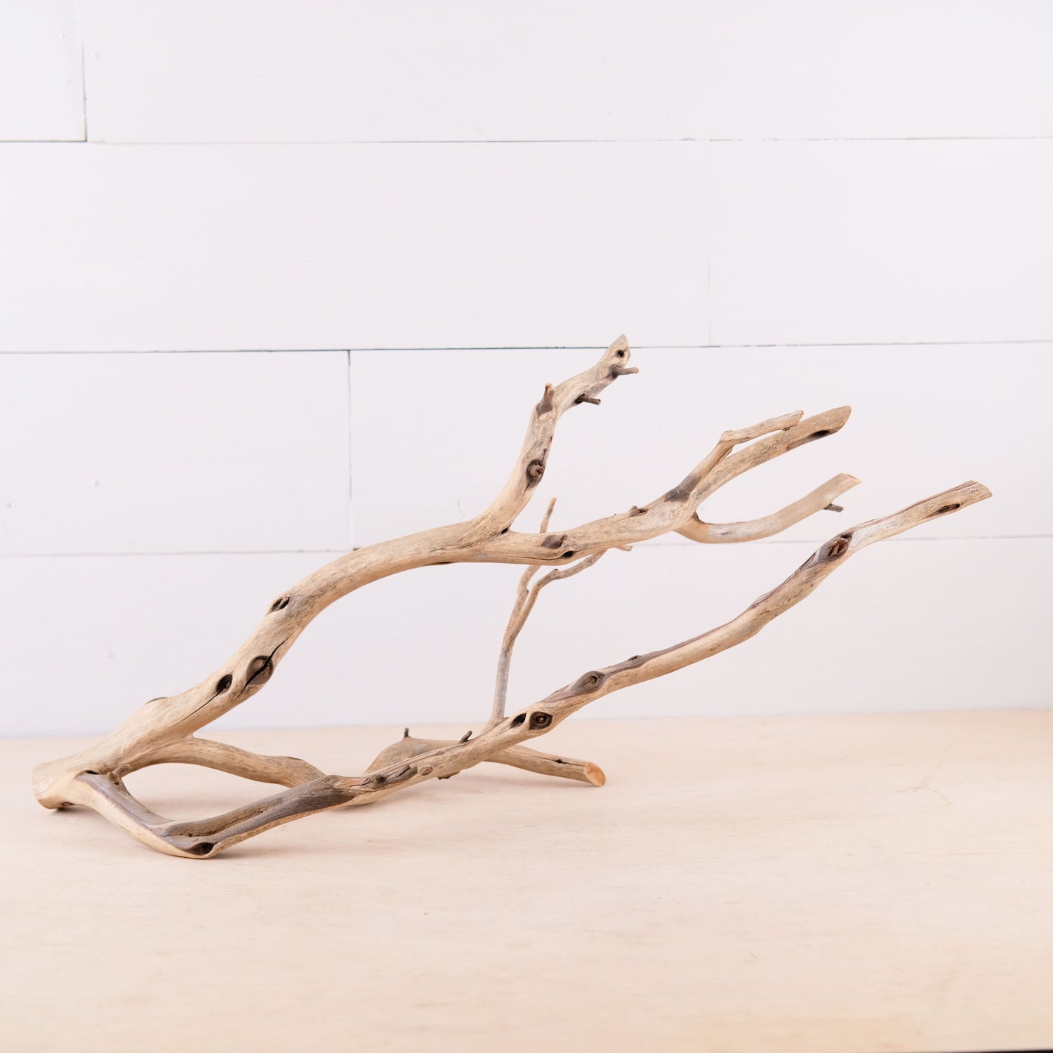 Manzanita 22" Driftwood Branch, Natural Aquarium Decor, Fish Tank Aquascape Centerpiece, Terrarium Wood Climb