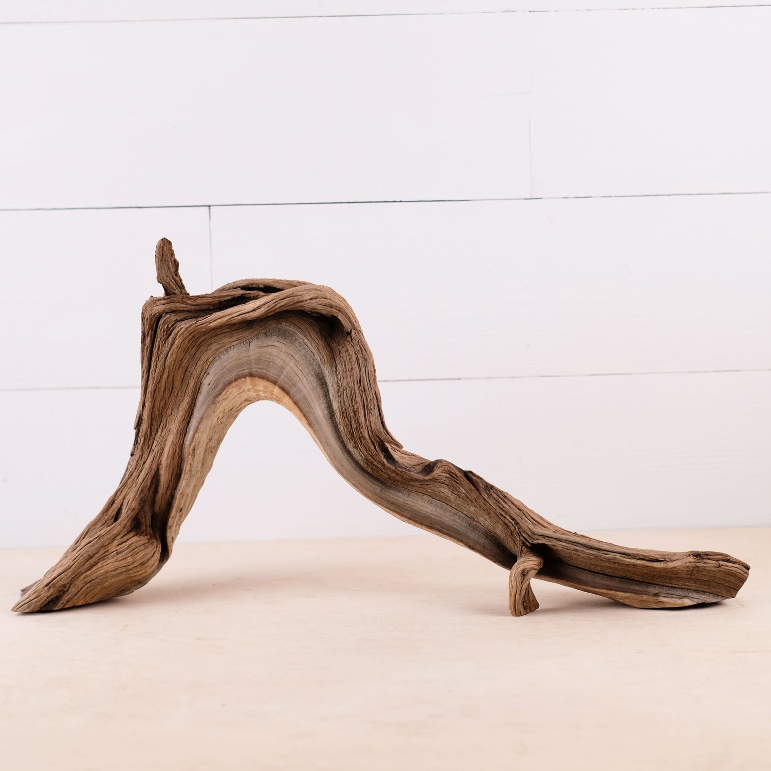 Manzanita 20" Driftwood Arch, Aquarium Aquascape Decor, Natural Fish Tank Wood, Reptile Vivarium Wood
