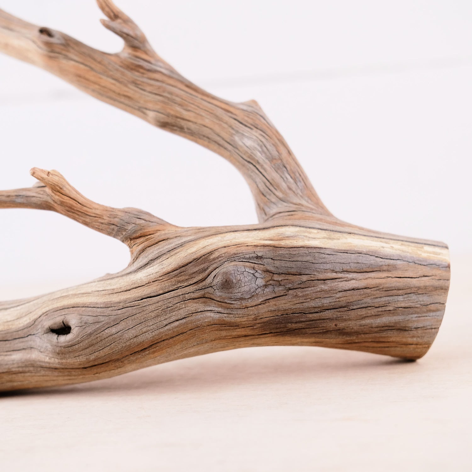 Manzanita 13" Branch, Aquascape Driftwood, Aquarium Wood Centerpiece, Natural Fish Tank Decor, Small Reptile Vivarium Branch