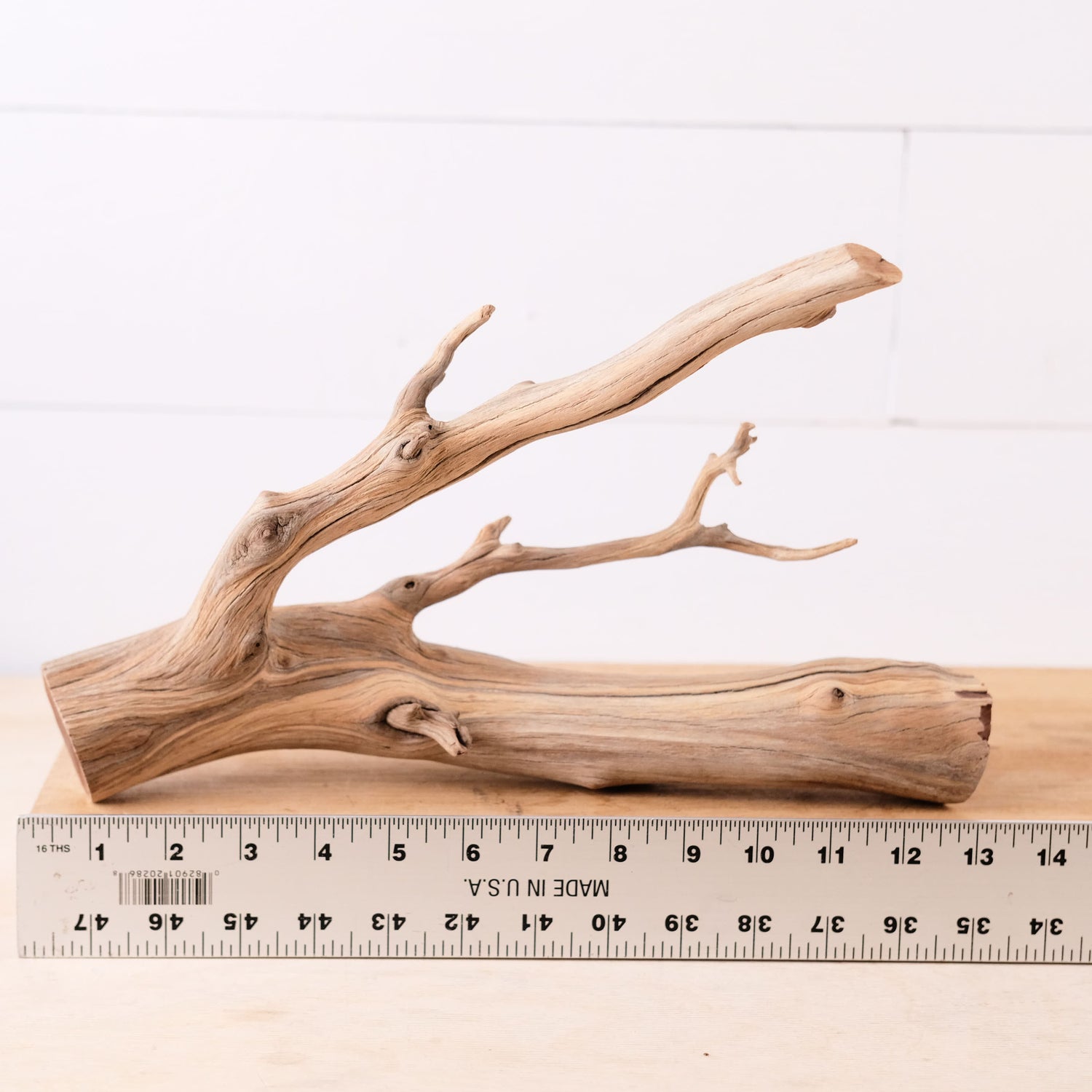 Manzanita 13" Branch, Aquascape Driftwood, Aquarium Wood Centerpiece, Natural Fish Tank Decor, Small Reptile Vivarium Branch
