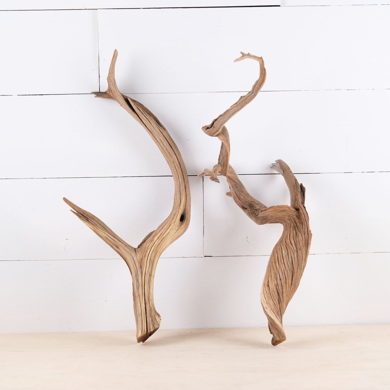 Manzanita 15-16" Branches (Set of 2), Aquarium Driftwood, Natural Terrarium Wood, Aquascape Decor