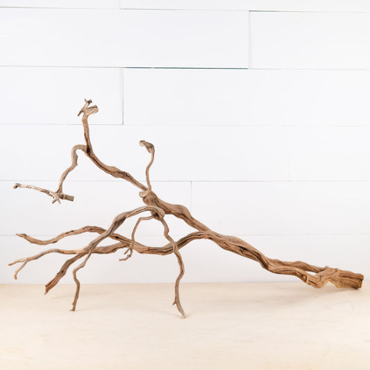 Manzanita 34" Branch, Aquascape Driftwood, Aquarium Wood, Terrarium Tank Decor, Natural Decor Branch