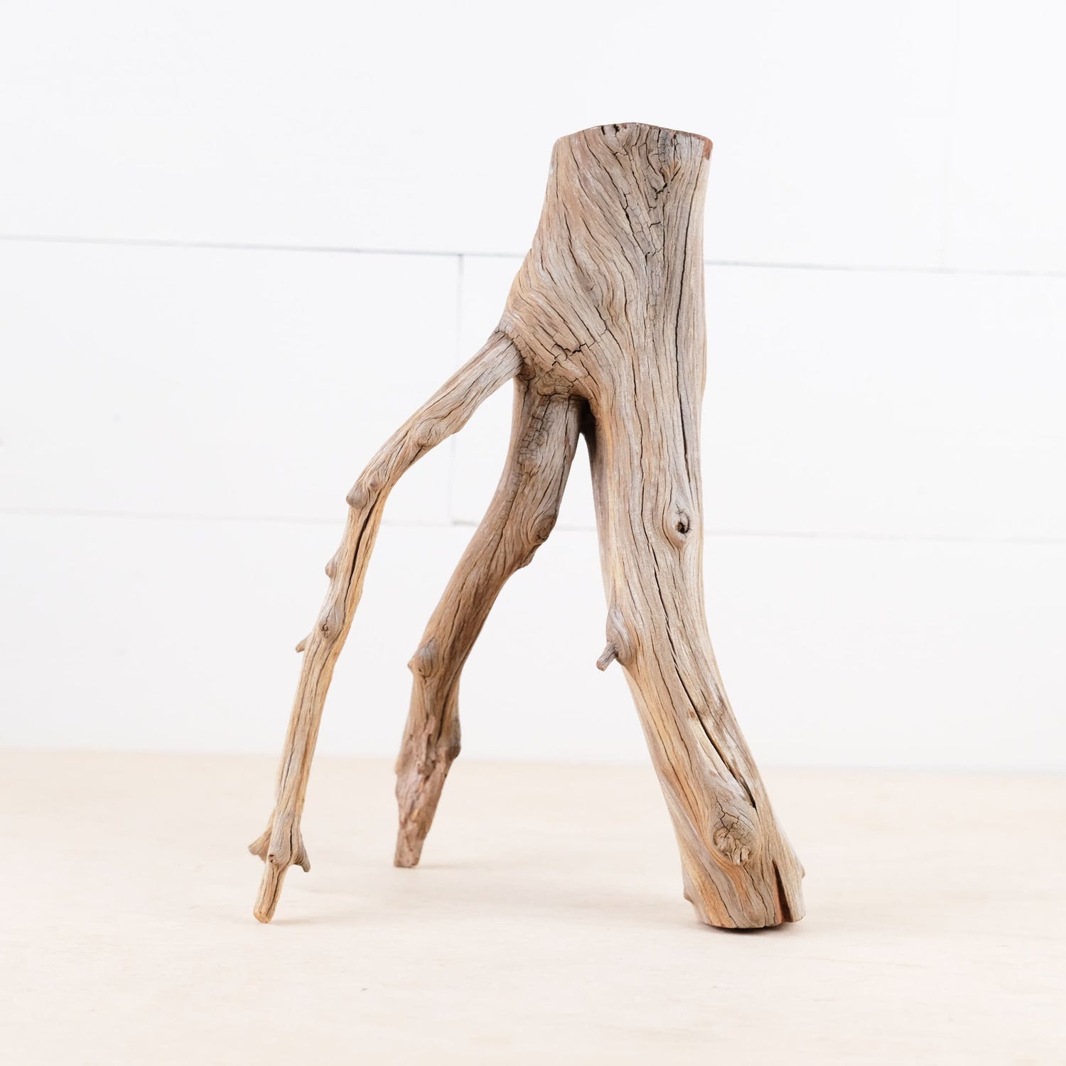 Manzanita 12" Driftwood Branch, Natural Aquarium Wood, Small Aquascape Feature, Fish Tank Decor, Reptile Enrichment
