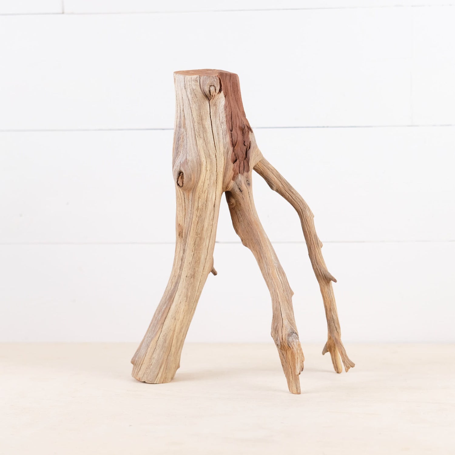 Manzanita 12" Driftwood Branch, Natural Aquarium Wood, Small Aquascape Feature, Fish Tank Decor, Reptile Enrichment