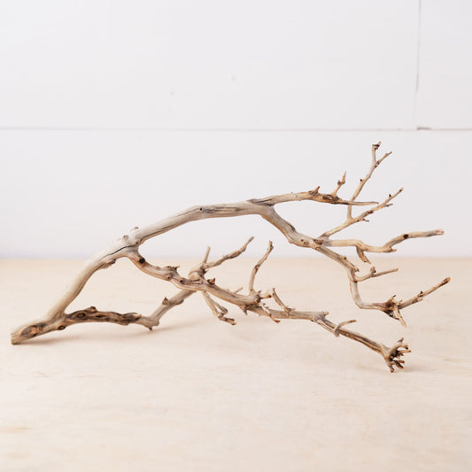 Manzanita 13" Driftwood Branch, Natural Aquarium Decor, Small Fish Tank Aquascape Wood, Nanoscape Branch