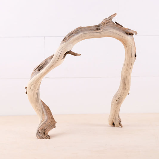 Manzanita 13" Driftwood Arch, Aquarium Aquascape Decor, Narrow Fish Tank Wood, Reptile Vivarium Wood