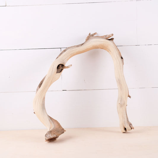 Manzanita 13" Driftwood Arch, Aquarium Aquascape Decor, Narrow Fish Tank Wood, Reptile Vivarium Wood