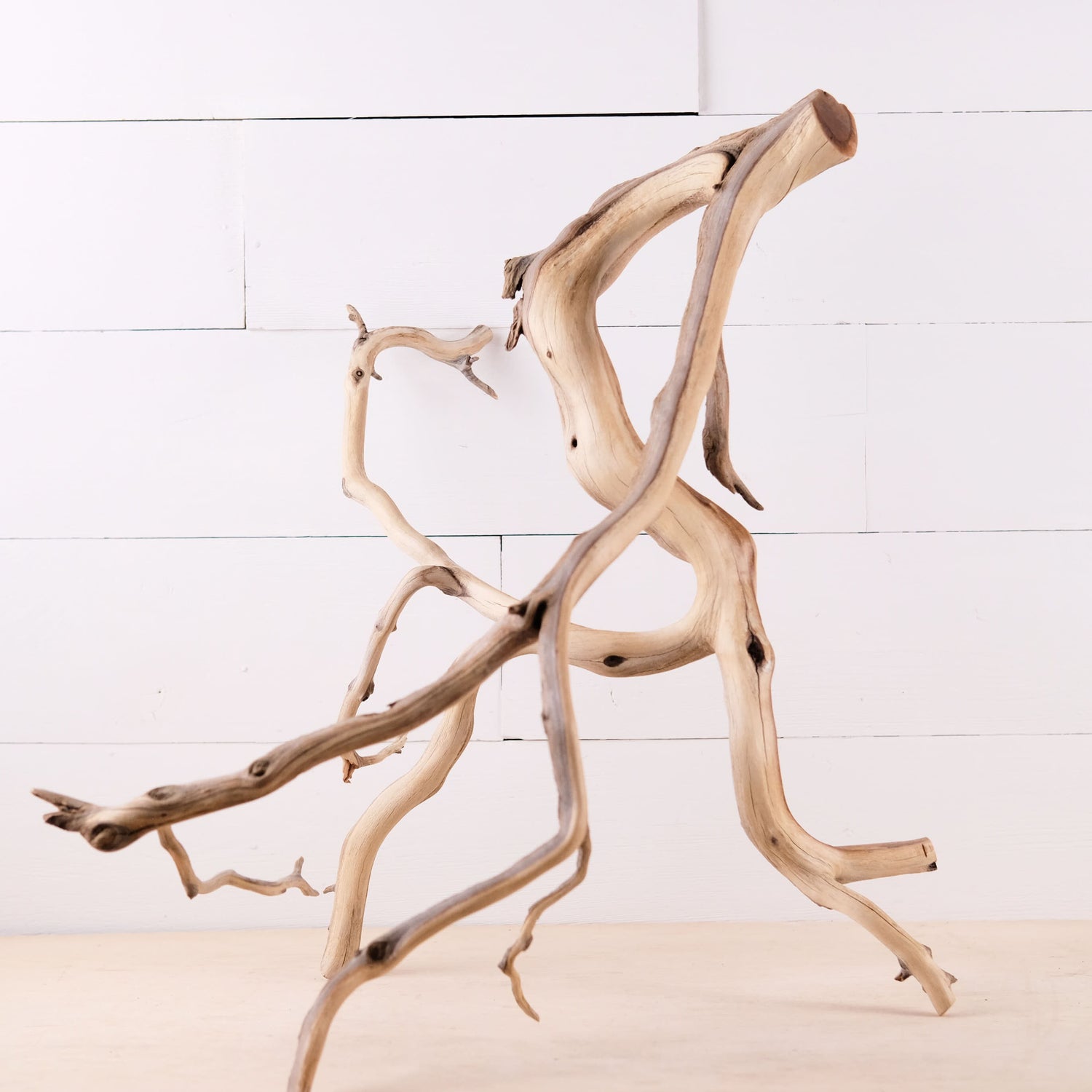 Manzanita 26" Branch, Large Aquascape Driftwood, Aquarium Wood Centerpiece, Natural Fish Tank Decor, Reptile Terrarium Climb