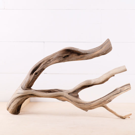 Manzanita 18" Branch, Aquascape Driftwood, Aquarium Wood Centerpiece, Natural Fish Tank Decor, Reptile Terrarium Climb