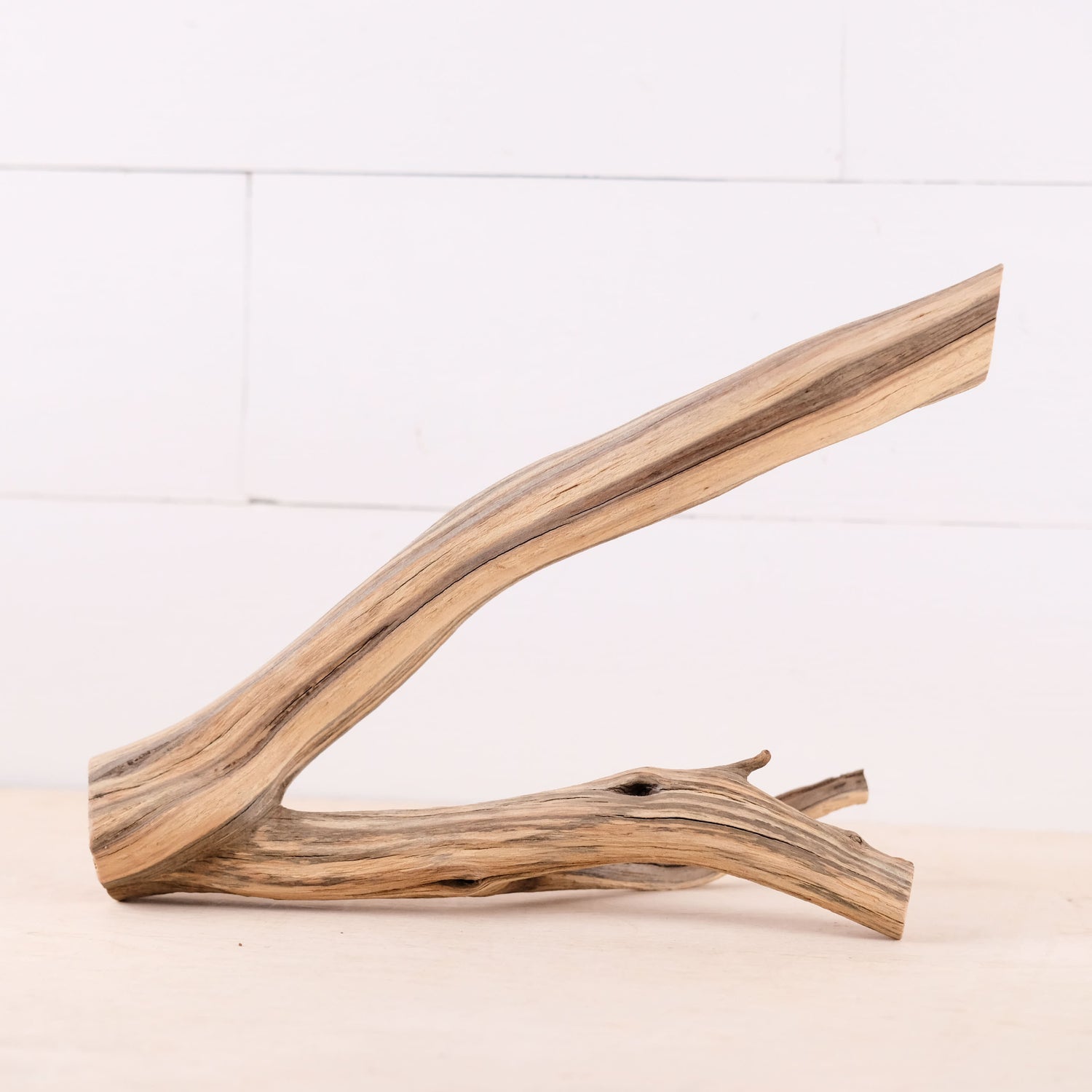 Manzanita 11" Branch, Small Aquascape Driftwood, Nano Aquarium Wood, Natural Fish Tank Decor, Reptile Terrarium Enrichment