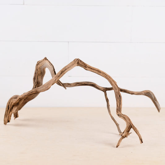 Manzanita 19-20" Branches (Set of 2), Twisting Aquarium Driftwood, Aquascape Wood, Natural Fish Tank Decor