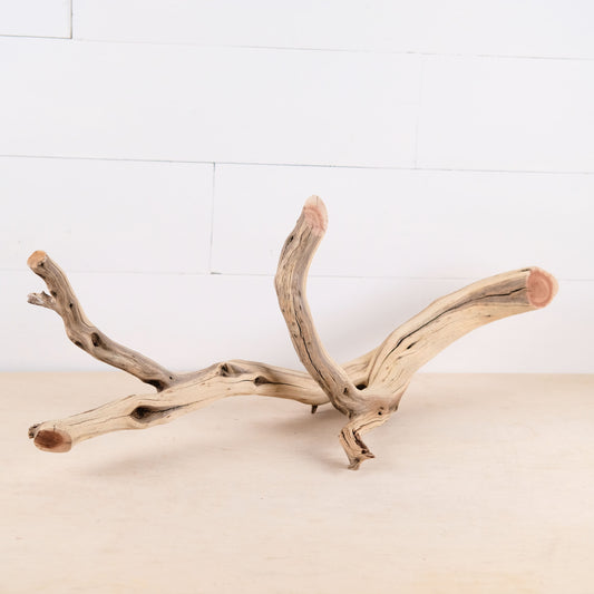 Manzanita 25" Branch, Aquascape Driftwood, Aquarium Wood, Fish Tank Decor, Reptile Terrarium Climb, Vivarium Wood Perch