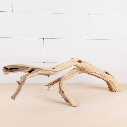 Manzanita 25" Branch, Aquascape Driftwood, Aquarium Wood, Fish Tank Decor, Reptile Terrarium Climb, Vivarium Wood Perch