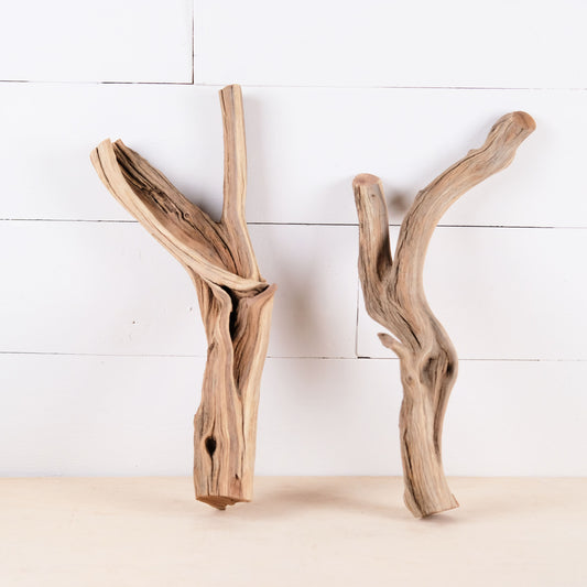 Manzanita 15-16" Branches (Set of 2), Aquarium Driftwood, Aquascape Decor, Small Reptile Terrarium Perch
