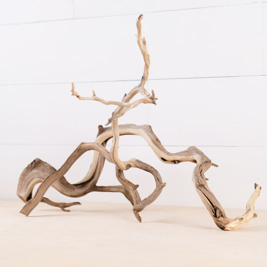 Manzanita 17-19" Driftwood Branches (Set of 2), Aquarium Decor, Twisting Aquascape Branch, Terrarium Wood
