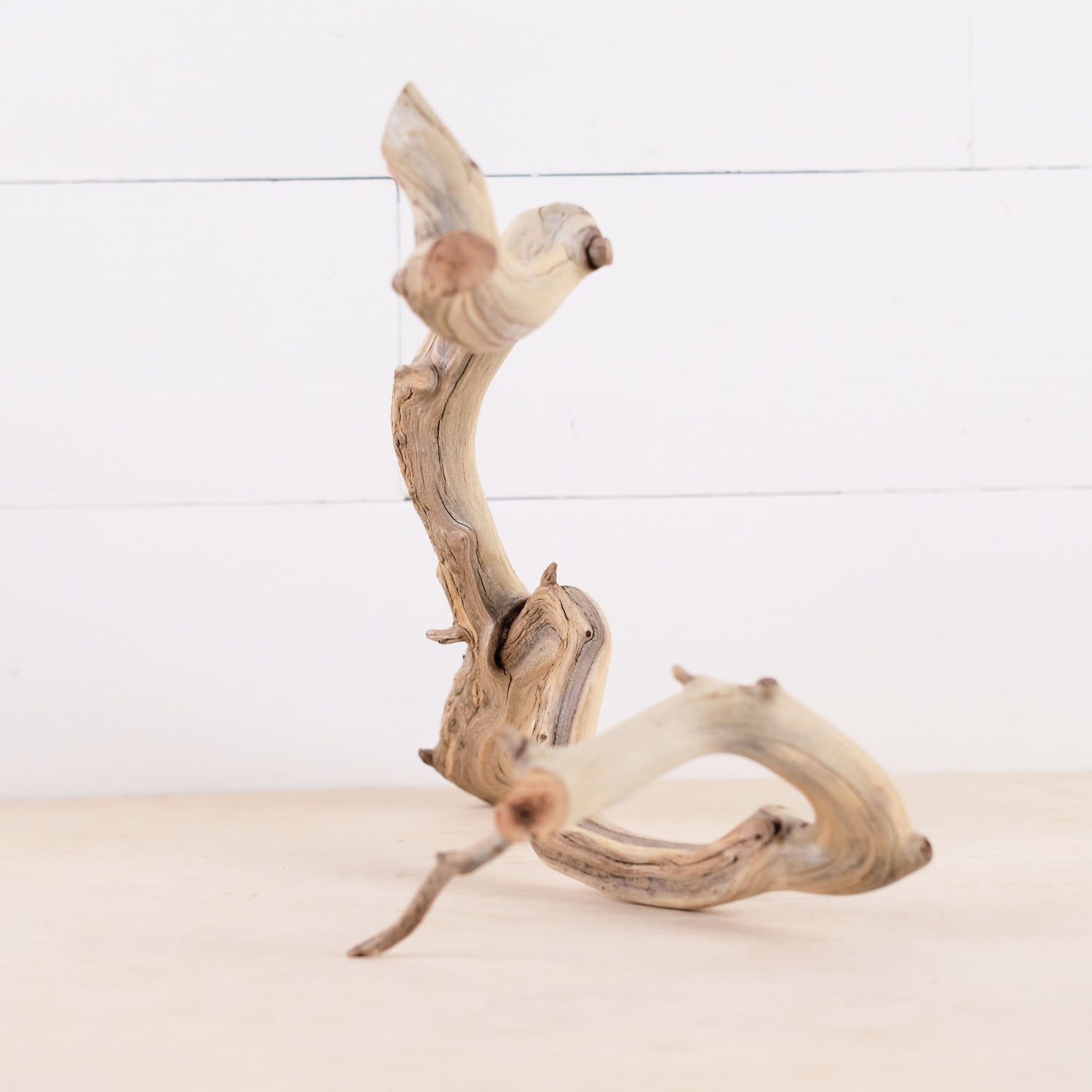 Manzanita 15" Driftwood Branch, Natural Aquarium Wood, Aquascape Feature, Fish Tank Decor, Terrarium Wood