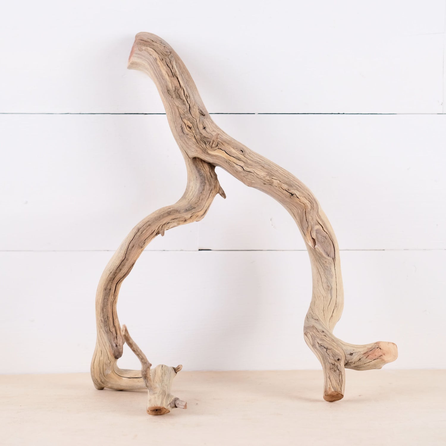 Manzanita 15" Driftwood Branch, Natural Aquarium Wood, Aquascape Feature, Fish Tank Decor, Terrarium Wood