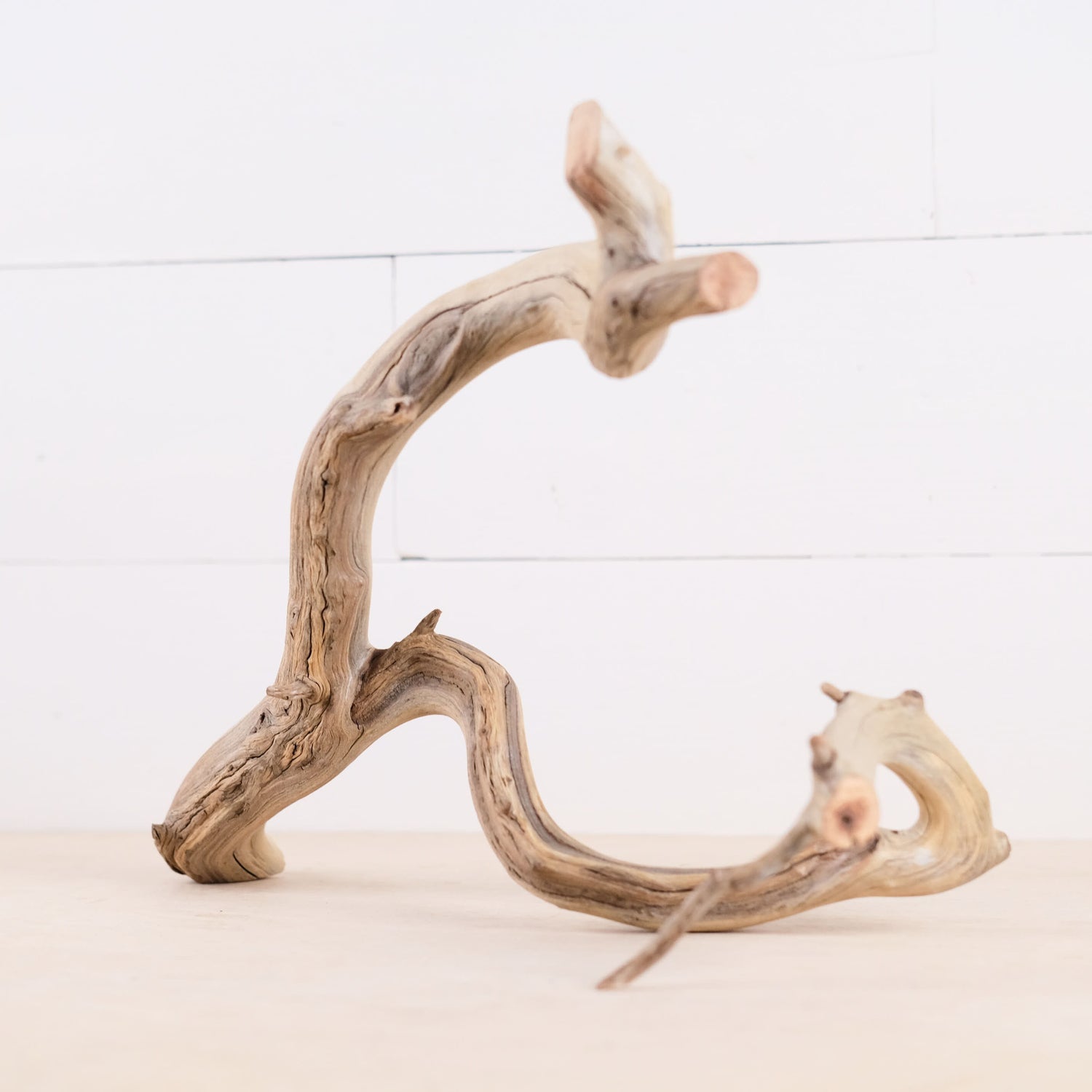 Manzanita 15" Driftwood Branch, Natural Aquarium Wood, Aquascape Feature, Fish Tank Decor, Terrarium Wood