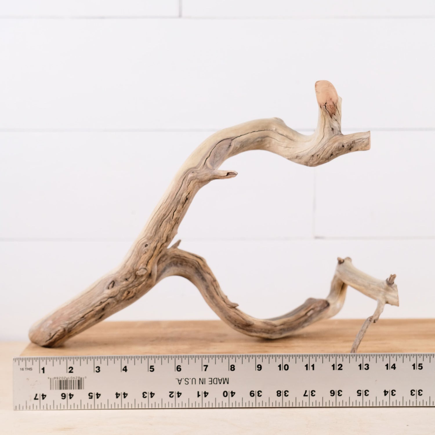 Manzanita 15" Driftwood Branch, Natural Aquarium Wood, Aquascape Feature, Fish Tank Decor, Terrarium Wood