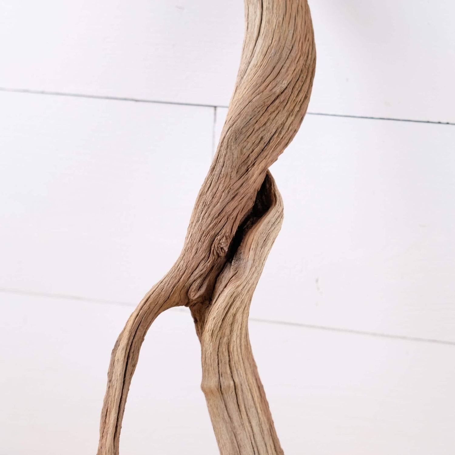 Manzanita 19" Branch, Aquascape Driftwood, Aquarium Wood Centerpiece, Natural Fish Tank Decor, Terrarium Wood