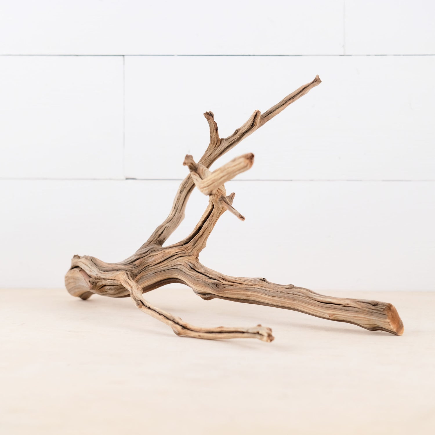 Manzanita 15" Branch, Aquascape Driftwood, Aquarium Wood, Natural Fish Tank Decor, Small Reptile Vivarium Branch