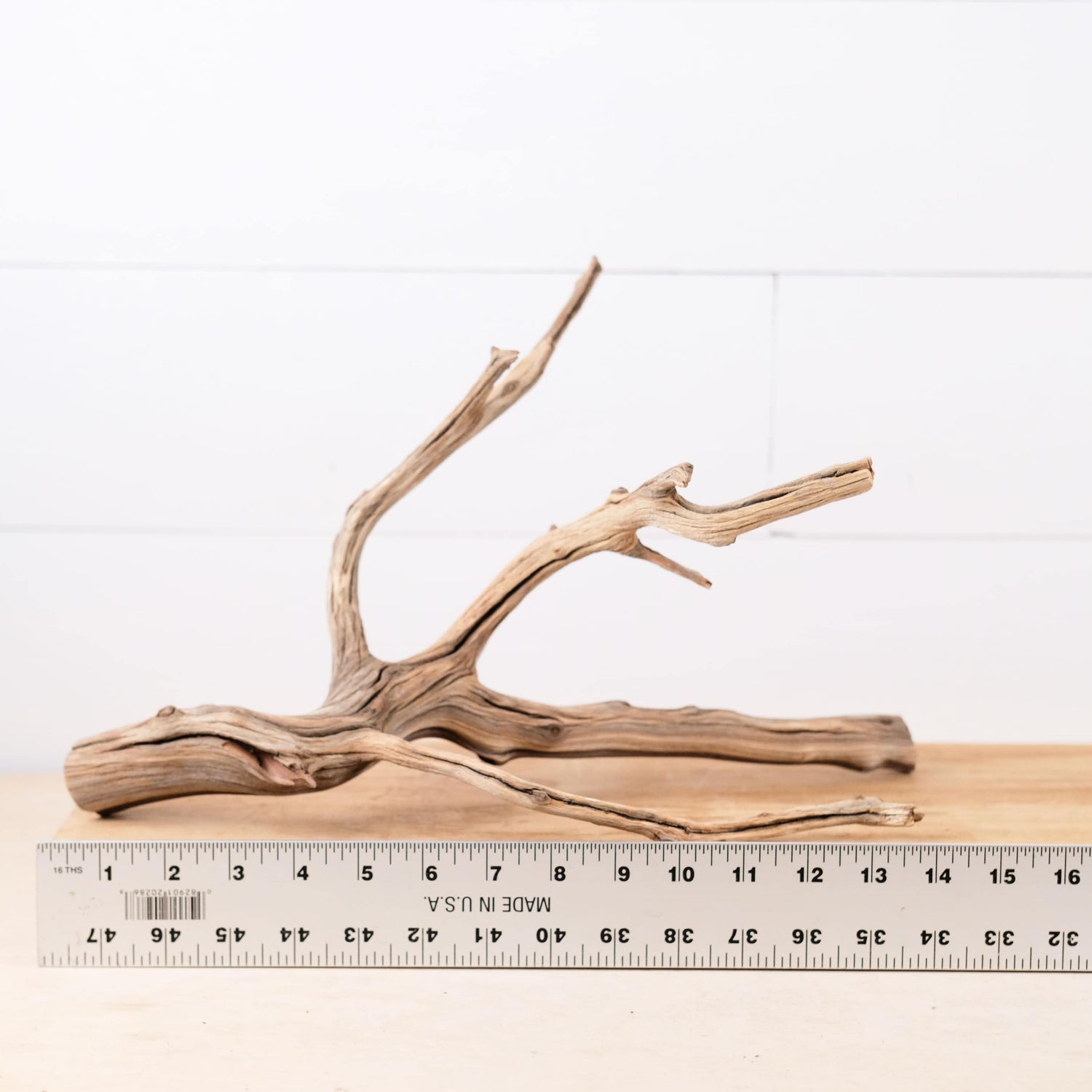 Manzanita 15" Branch, Aquascape Driftwood, Aquarium Wood, Natural Fish Tank Decor, Small Reptile Vivarium Branch
