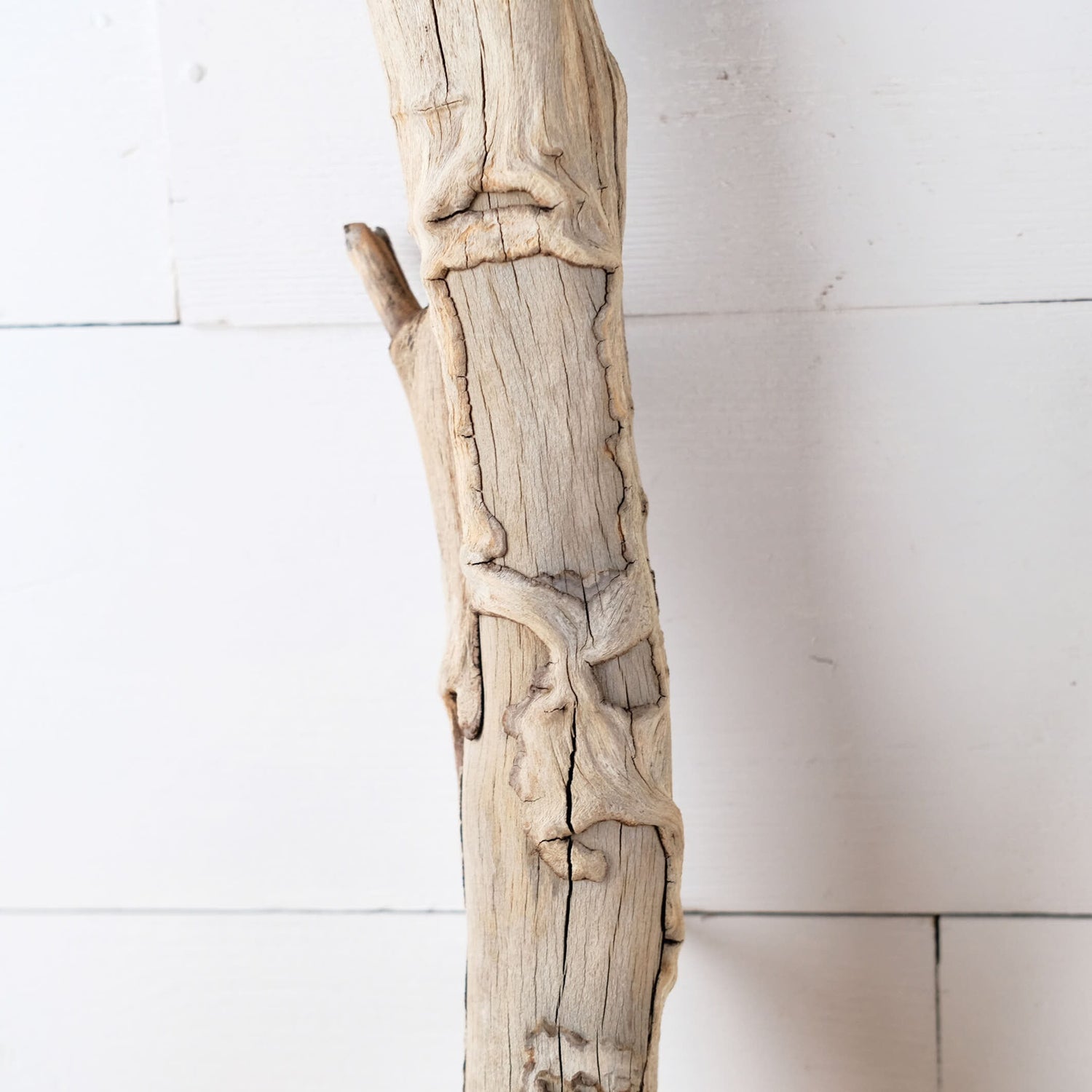 Manzanita 26-27" Driftwood Logs (Set of 2), Thick Terrarium Branch, Python Climb, Natural Wood Decor
