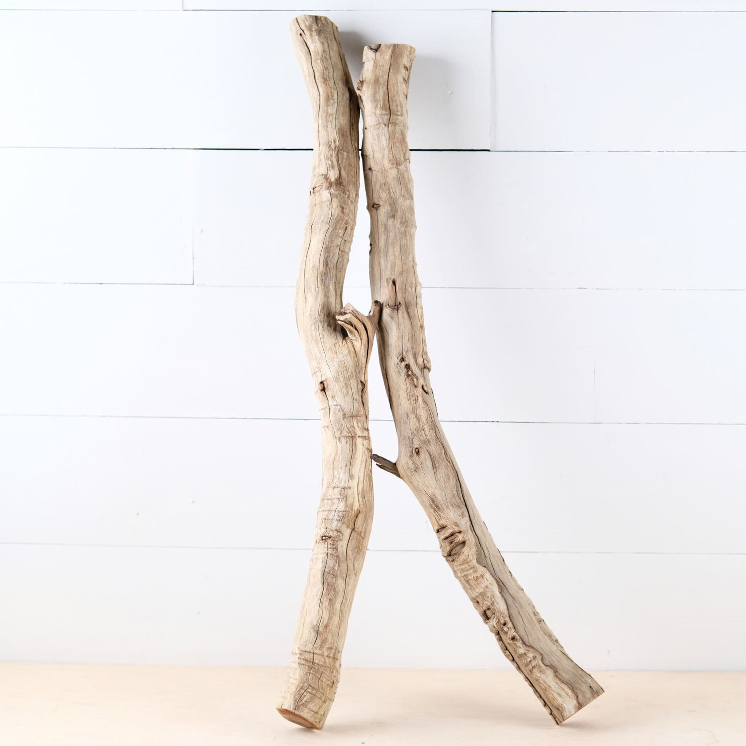 Manzanita 26-27" Driftwood Logs (Set of 2), Thick Terrarium Branch, Python Climb, Natural Wood Decor