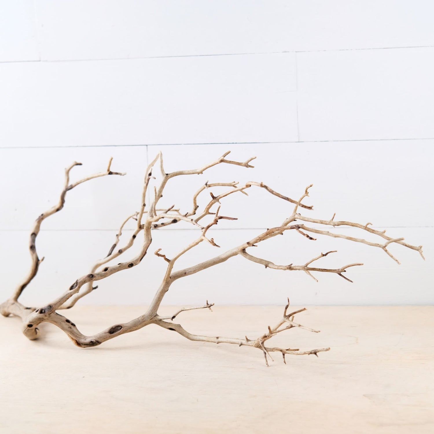 29" Manzanita Branch, Large Aquarium Wood, Aquascape Driftwood Centerpiece, Driftwood Wall Decor